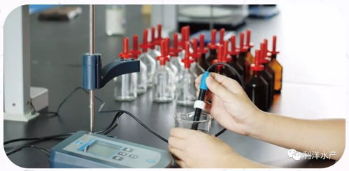 系統(tǒng)檢測 精準(zhǔn)服務(wù) 讓水產(chǎn)養(yǎng)殖更可控的信息咨詢服務(wù)